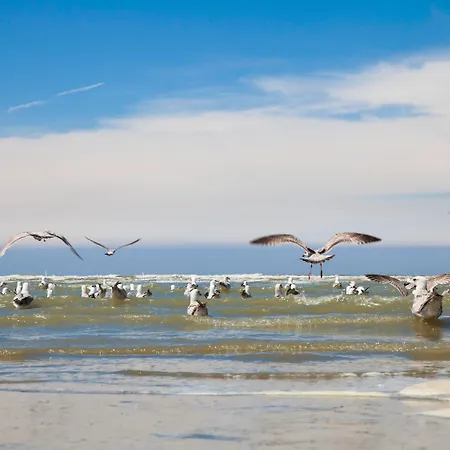 Hotel Mercure Blankenberge