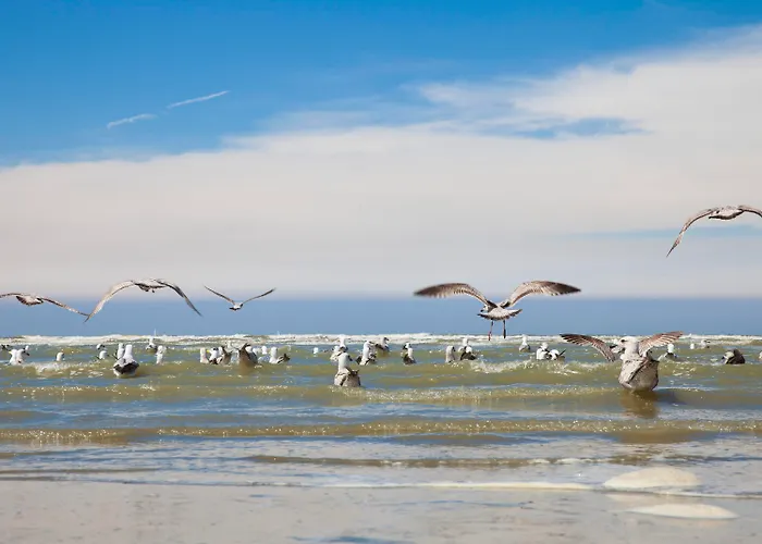 Hotel Mercure Blankenberge